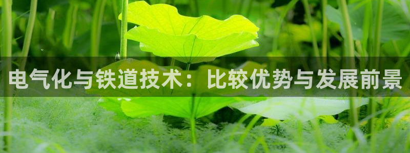 凯发k8娱乐是国内平台?