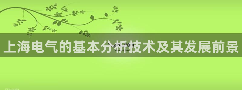 凯发国际亚洲有限公司：上海电气的基本分析技术及其发