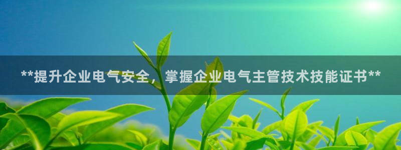 凯发k8手机是正品吗：**提升企业电气安全，掌握企