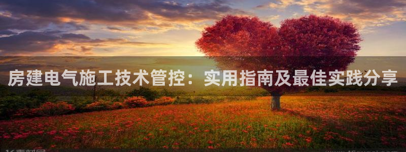 凯发k8娱乐真人旗舰厅客服：房建电气施工技术管控：