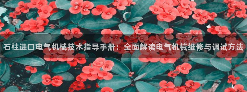 凯发app官网：石柱进口电气机械技术指导手册：全面