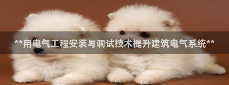 凯发官网地址：**用电气工程安装与调试技术提升建筑