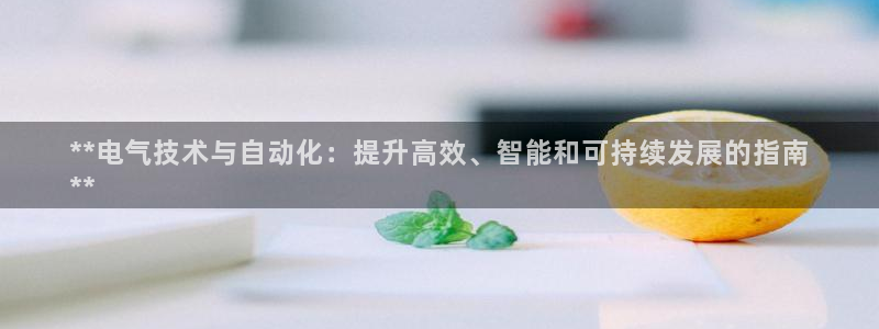 凯发国际亚洲有限公司：**电气技术与自动化：提升高