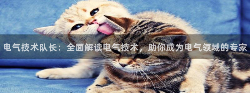凯发官网登录地址陆地：电气技术队长：全面解读电气技